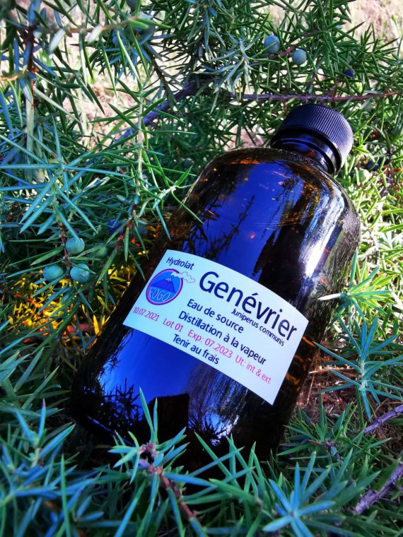 Hydrolat de Génévrier